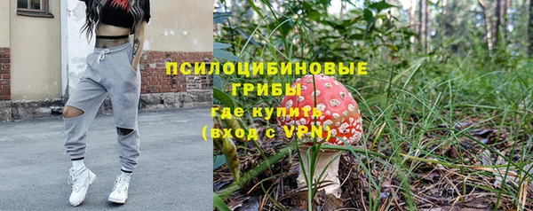 метадон Арсеньев
