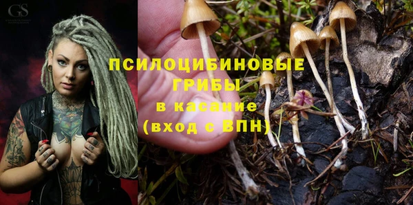 метадон Арсеньев
