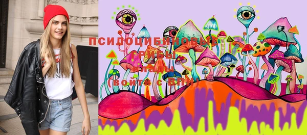 прущий лед Армянск