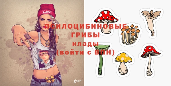 метадон Арсеньев